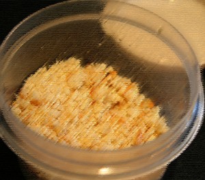 crumbs in a container