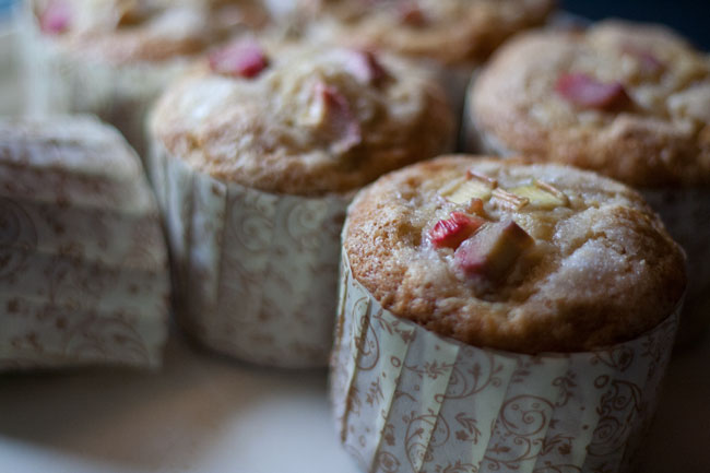 rhubarb muffin