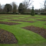 not-blooming-yet, but perfect, rose beds in Greenwhich