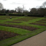 not-blooming-yet, but perfect, rose beds in Greenwhich