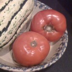 Tomatoes & squash – raw materials