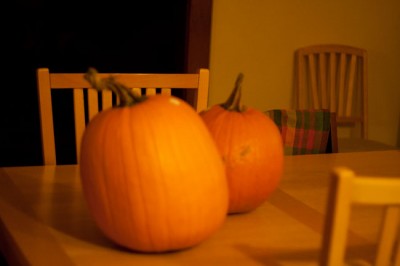 Pumpkins awaiting carving
