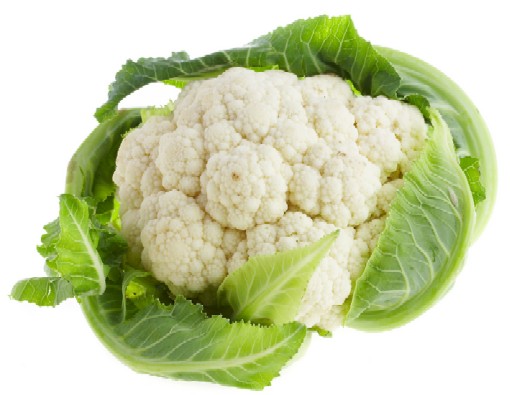 head of Cauliflower