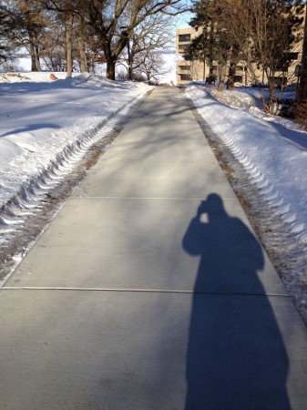 Walking back to my office after a meeting, shadow towards the lake