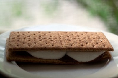 Microwave s'more