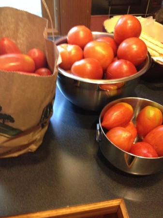 Here's all my tomato loot from last market of Sept.: expensive romas, big bowl of mixed slicers, and 5# bag of romas 