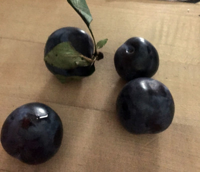 Little plums from Morren Farm