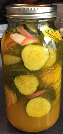 Quick pickles - I put tumeric in to make them more like bread & butter pickles. They ought to be good with the ham salad