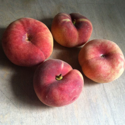 Cute little donut peaches from the market - they're too good to cook with - eating only!