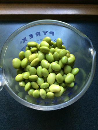 Whole cup of Edamame