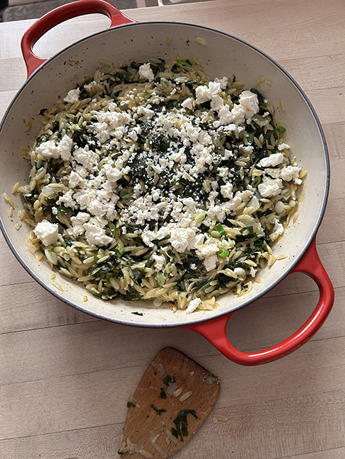 kale & orzo risotto